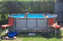 Summer Waves Pool Oval with Filter and Cover Set
