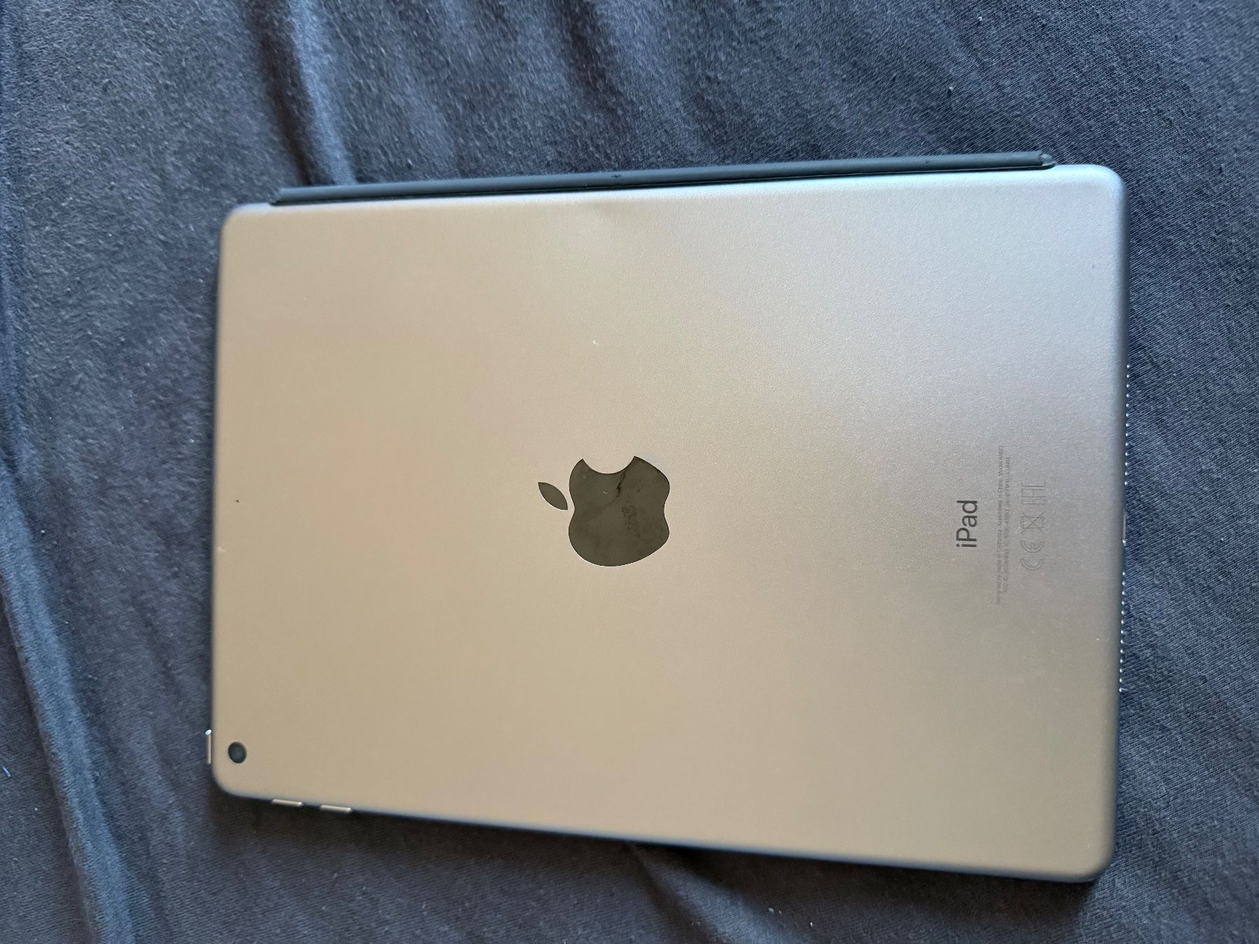 Apple Tablet PC: IPad 6. Generation mit Hülle – Usato da Chur venduto da giani04