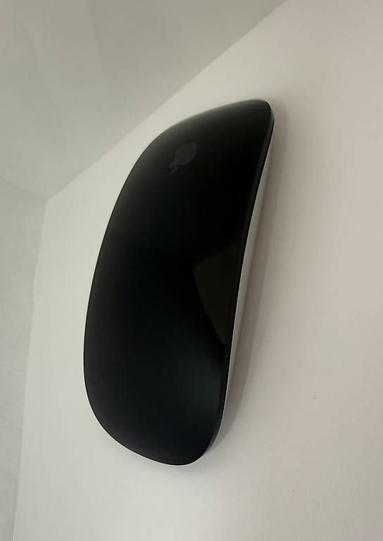 Apple Souris: Apple Magic Mause 2 Black + Kabel Top-Zustand – D'occasion à Schaffhausen par seb_jhm6 2