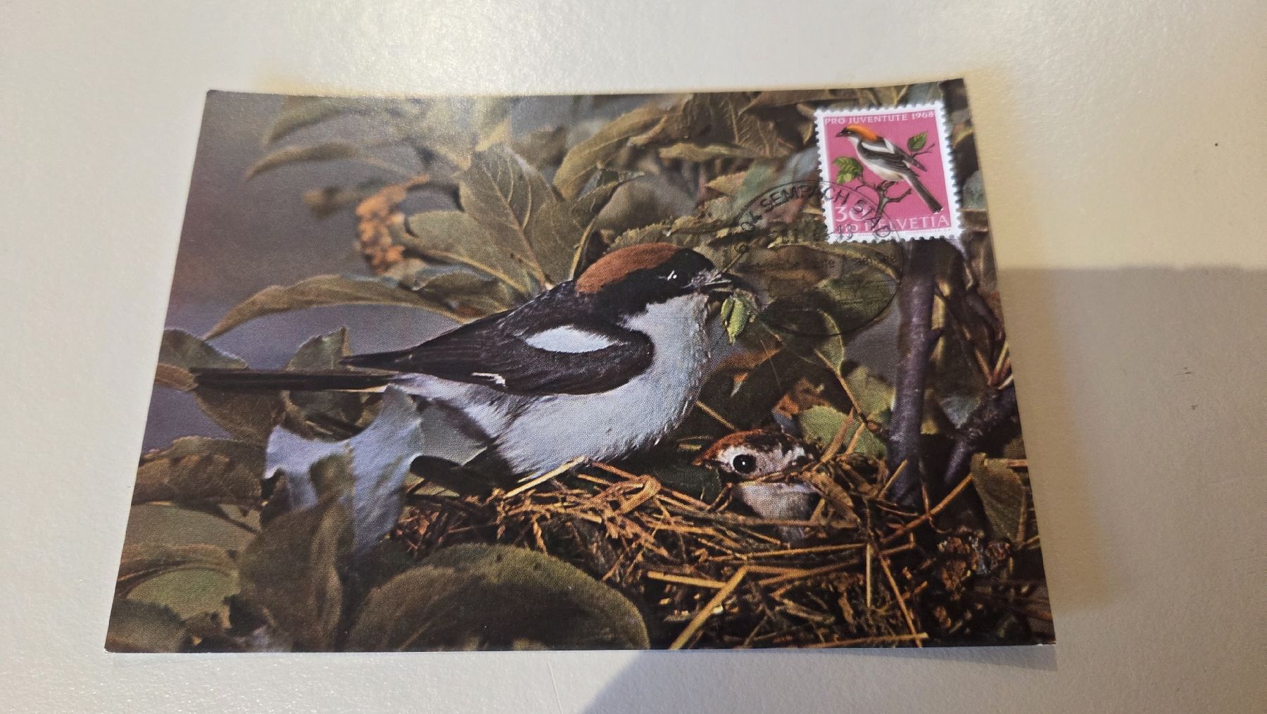 Tutti i francobolli: 1968 FDC Maximumkarte Pro Juventute – Usato da Arni AG venduto da Moth68