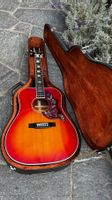 Sigma Hummingbird SG-30729 Levin LR Baggs + Koffer