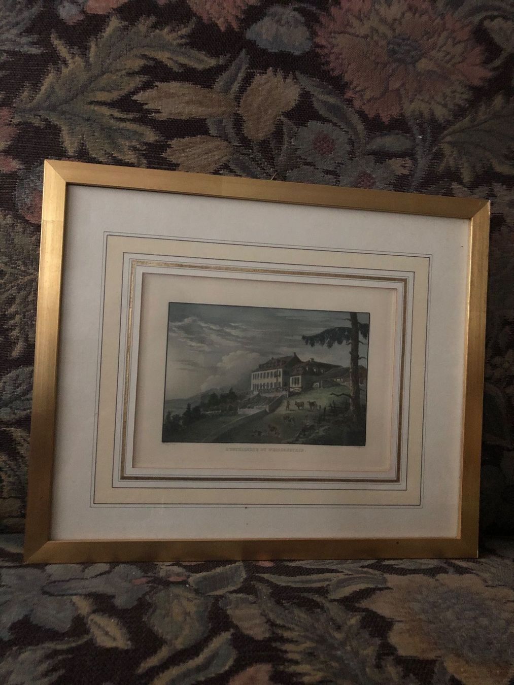 Foto & Immagini: L’HOTELLERIE DU WEISSENSTEIN – Usato da Wald ZH venduto da mlnt