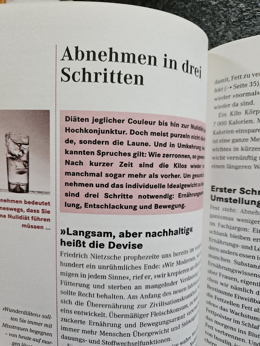 Libri: Schlank mit Schüssler Salzen - Das Original Buch – Usato da Urdorf venduto da Colina 4