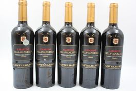 5x Amarone della Valpolicella Classico 2023 (26062761Z)