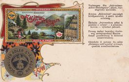 Litho-Karte mit Reklame-Schweizer Adler Strickgarn
