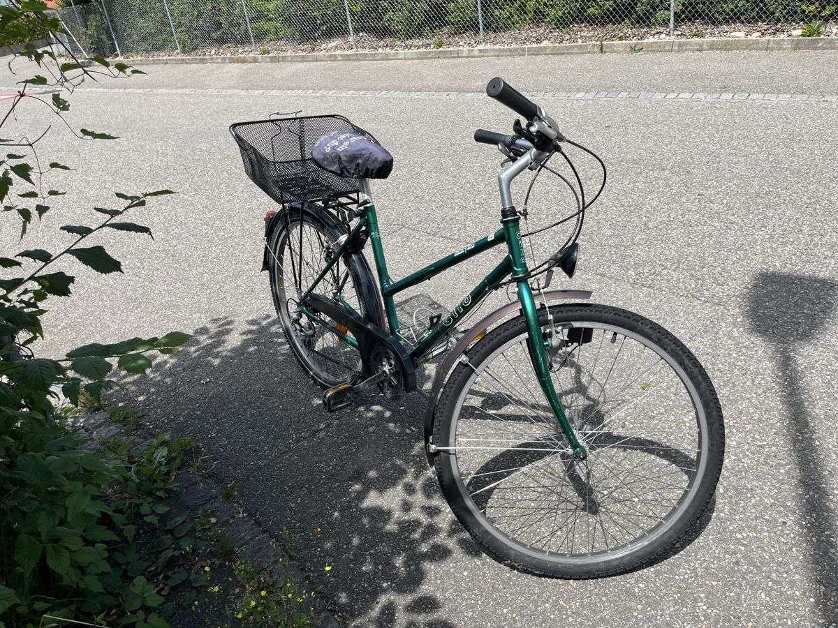 Vélos: Damenvelo – D'occasion à Trimbach par Kurtu 2