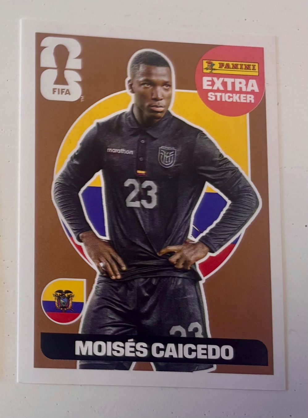 Panini Sammelbilder & Trading cards: Panini Extra Caicedo – Gebraucht aus Thalwil von chr_gjb7