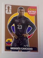 Panini Extra Caicedo