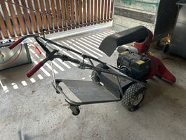 Aspirateur à feuilles
