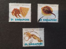 Singapore (-35%) - 3x Muscheln1977