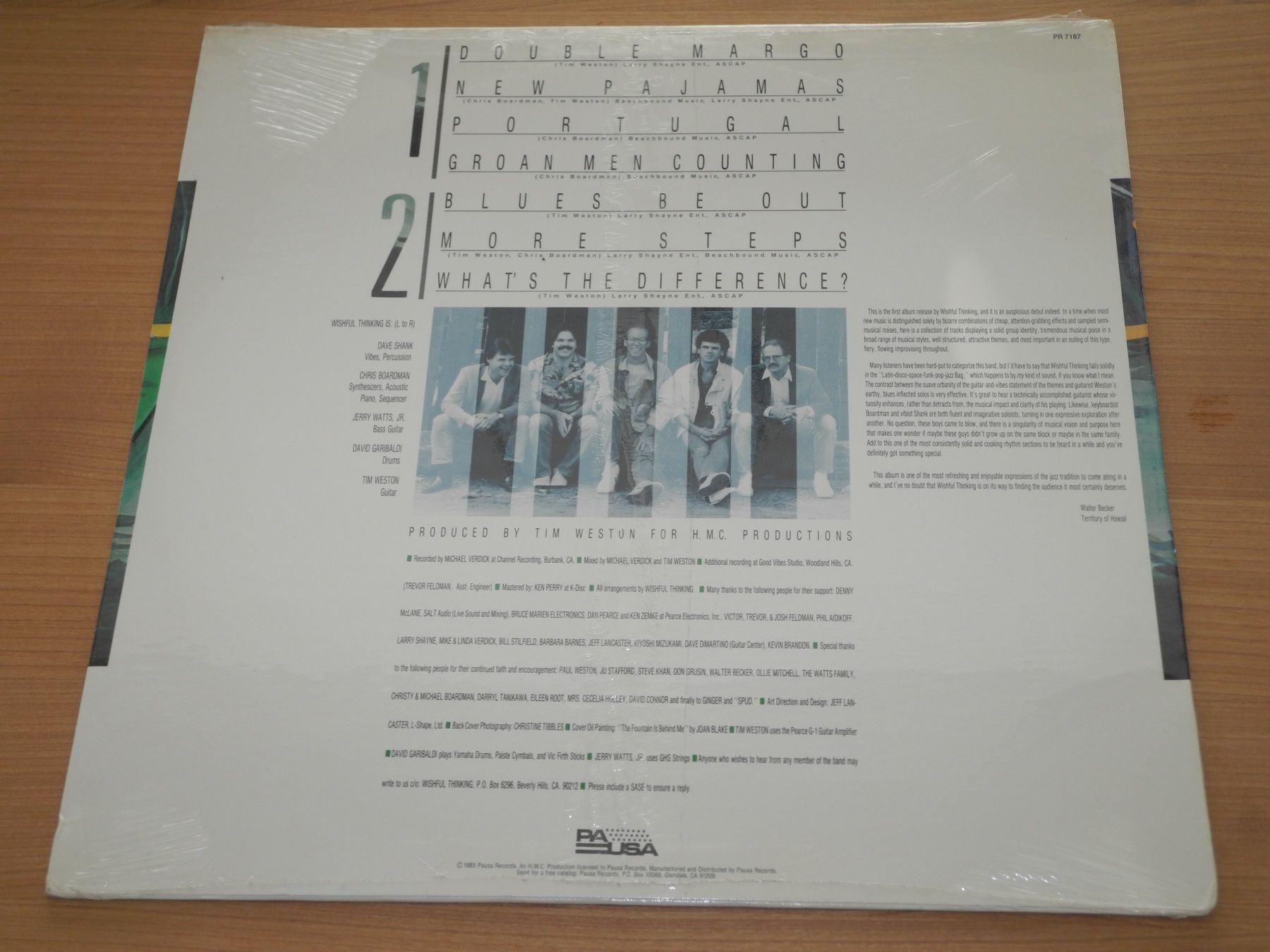 Schallplatten: WISHFUL THINKING: SAME - PAUSA - USA - NEU! – Neu und originalverpackt aus Fahrwangen von Swirl2 1