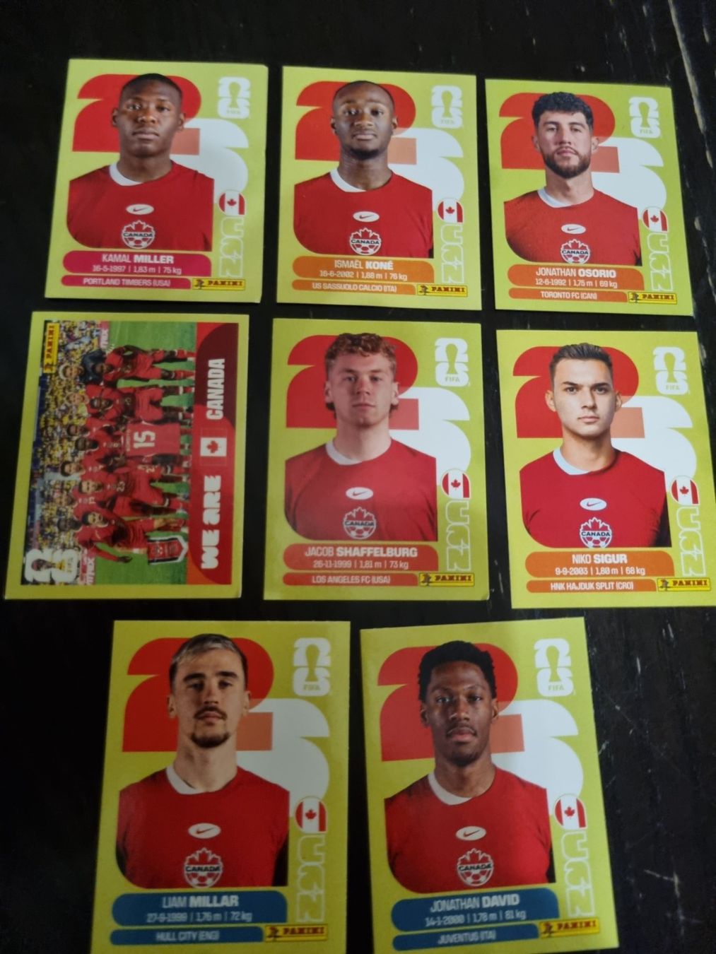 Panini Sammelbilder & Trading cards: Panini Sticker Kanada 8 Stk – Neu (gemäss Beschreibung) aus Kaiseraugst von muggel27