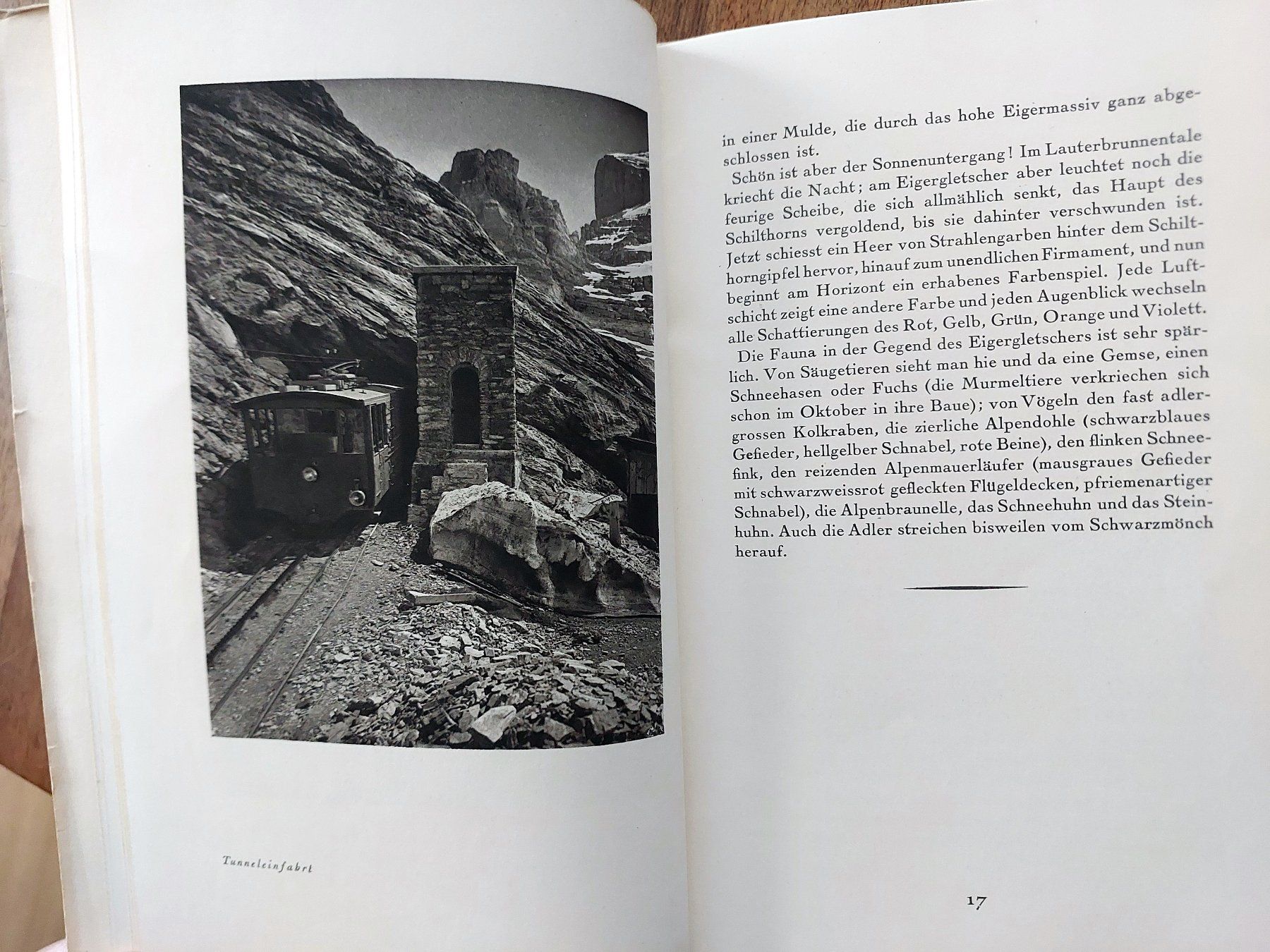Bücher: Die Jungfraubahn – Gebraucht aus Schönenwerd von Steidi 4