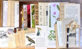 ephemera 8/papier collage bastelpapier scrapbooking +Versand