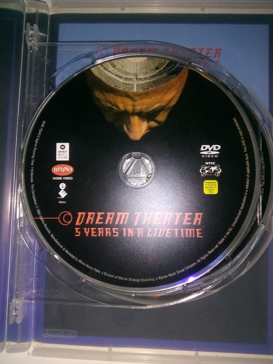 sexy t shirt sayings