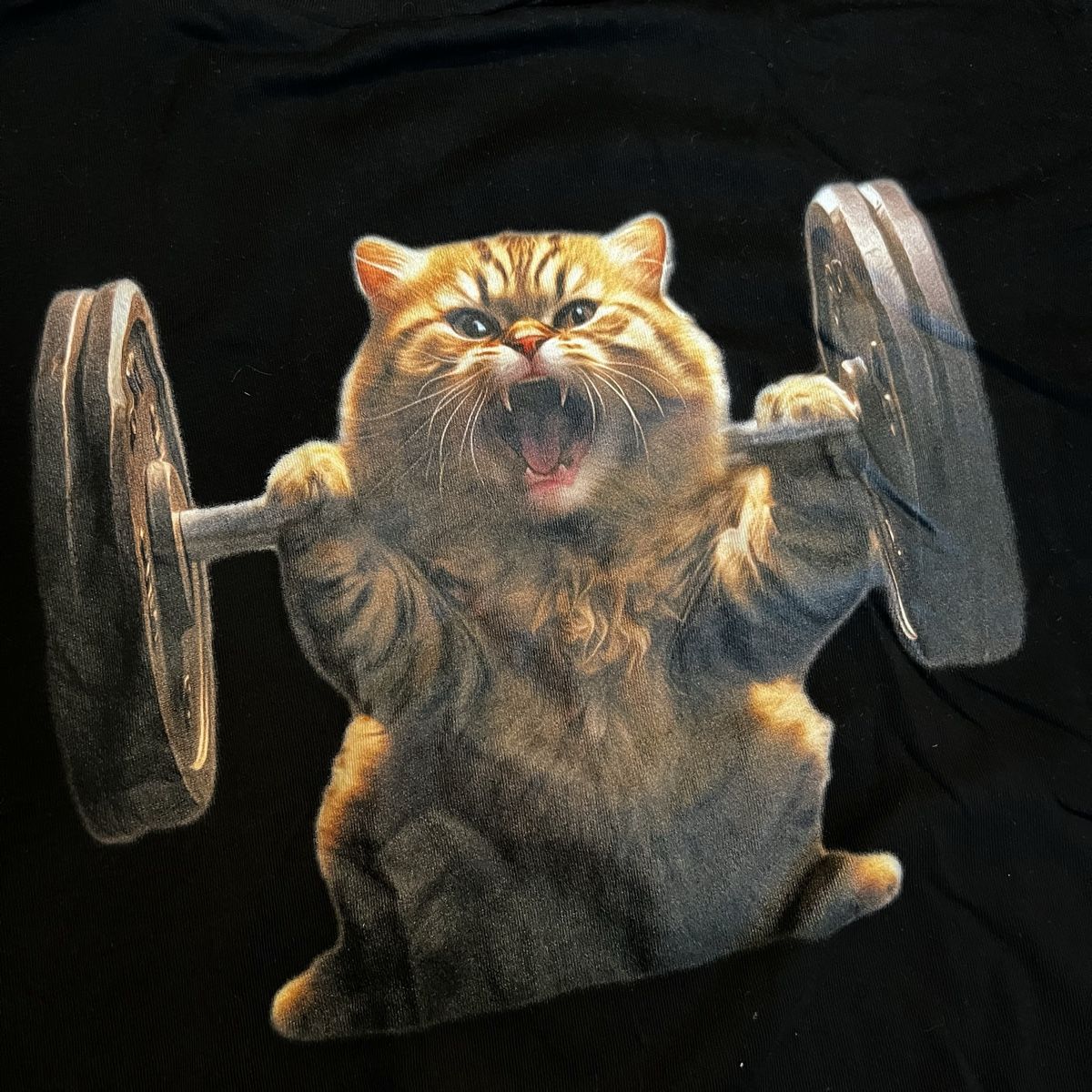 T-shirt: Gym T-Shirt Katze  – Nuovo (secondo la descrizione) da Chur venduto da noe_mh8b 2