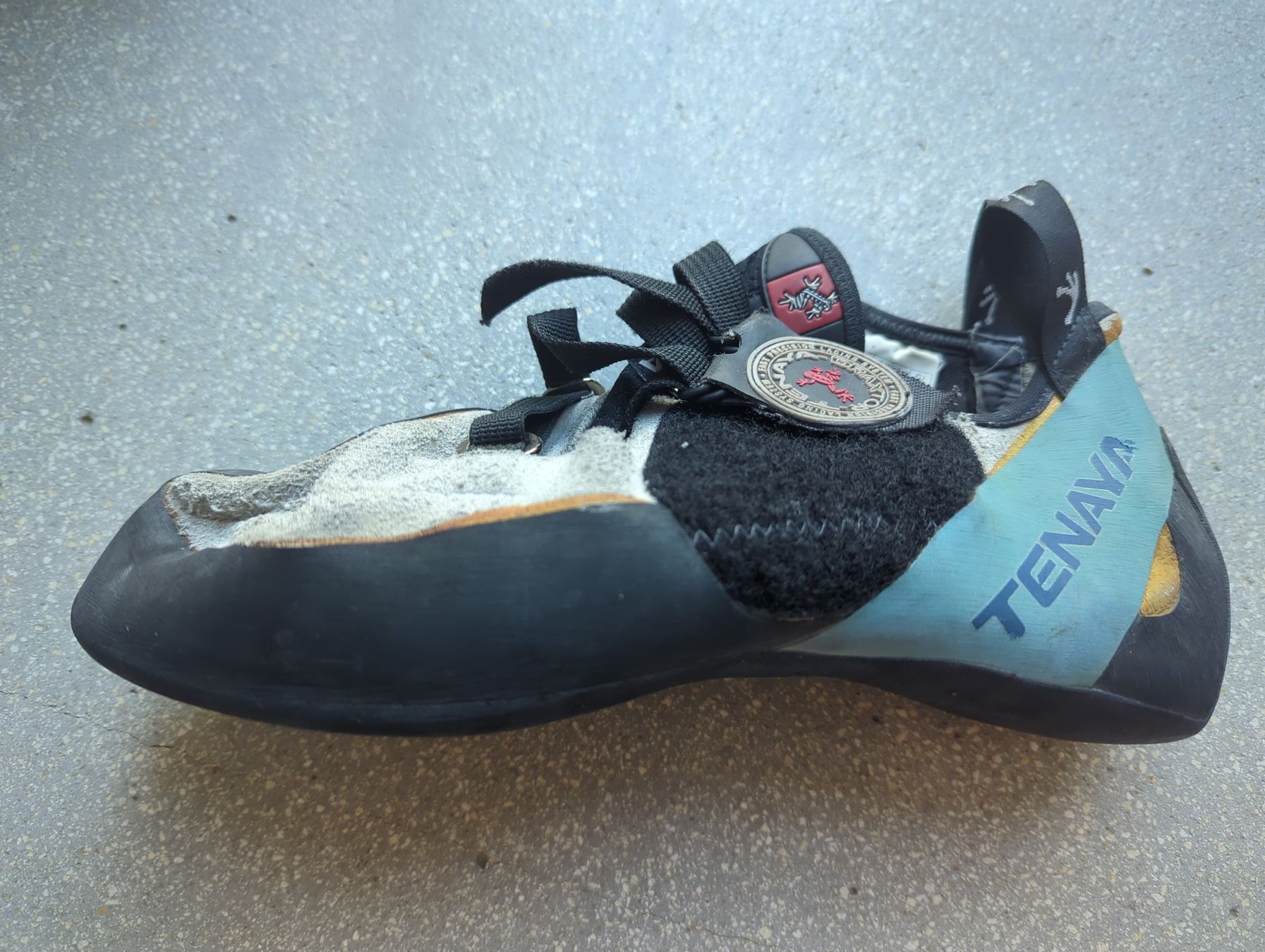 Herrenschuhe: Tenaya Kletterschuhe – Gebraucht aus Windisch von Sho-kun 1