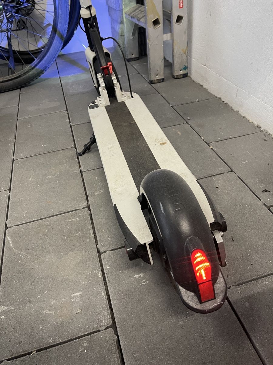 Kickboard: E Trottinett – Usato da Schachen LU venduto da Pelendura 6