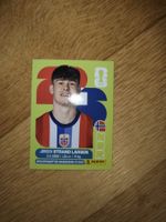 Panini WM 2026 NOR 18, Strand Larsen