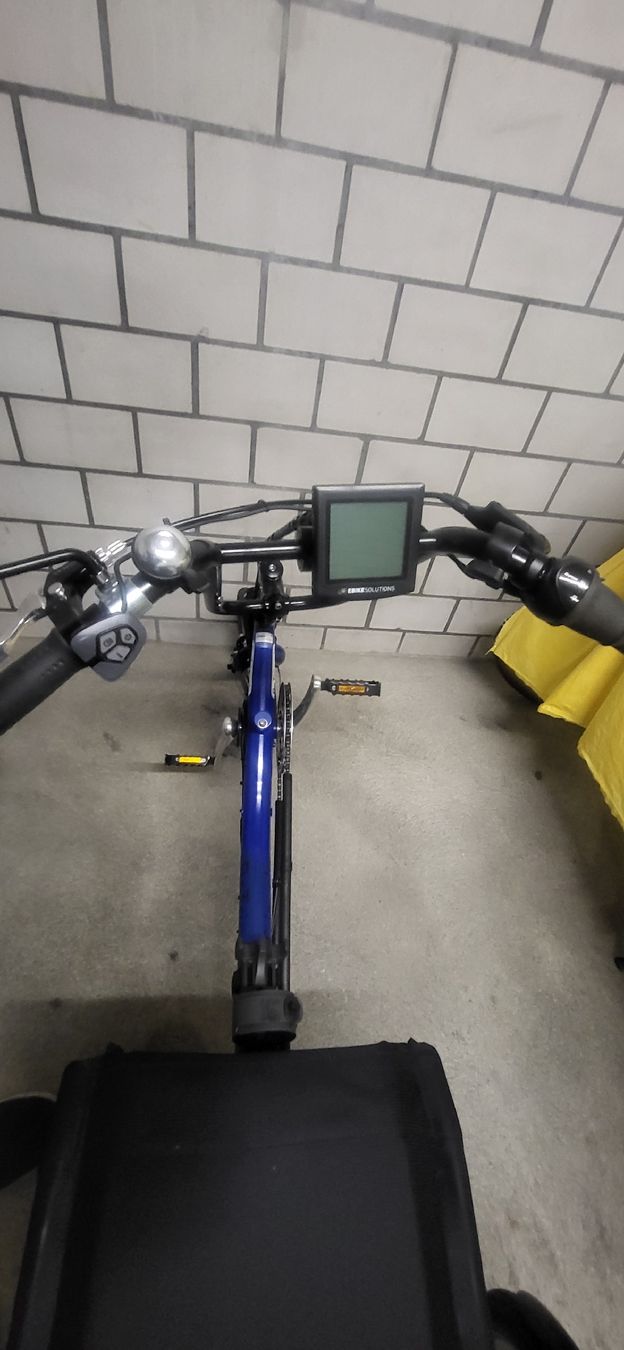Biciclette: Dreirad mit Elektrounterstützung Motor 36V, 250W DC – Usato da Biberist venduto da lauraelias 3