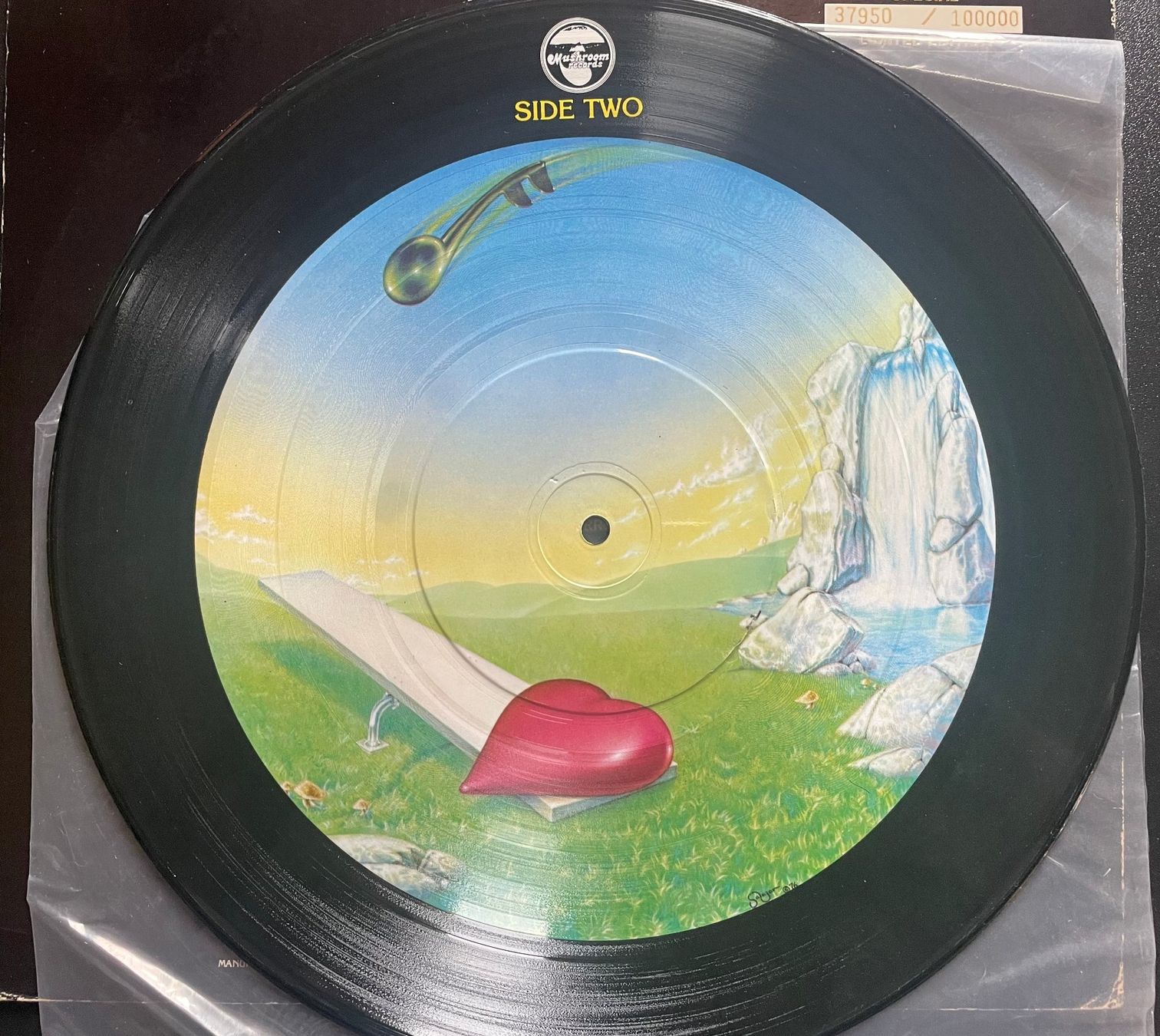 Dischi in vinile: HEART, Magazine, Picture Disc, Sealed, USA, Numbered – Usato da Kleinlützel venduto da Vinylspezi 3