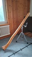 Didgeridoo Unikat