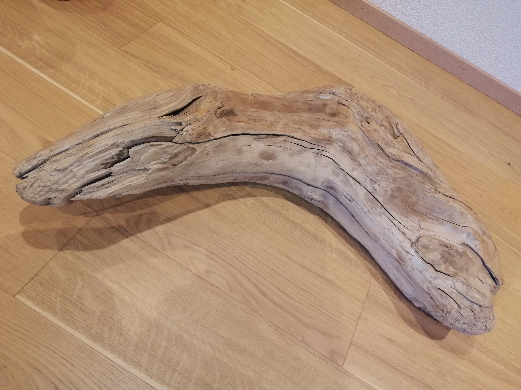 Articoli in legno: Grosses Dekor Schwemmholz – Nuovo e nell'imballaggio originale da Widnau venduto da ForViolin 2