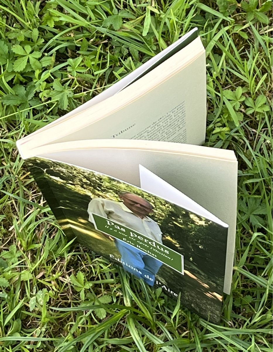 Libri: Livre "Pas perdus" d'Eric Rochat, éditions de l'Aire – Usato da La Tour-de-Peilz venduto da Pansy02 8
