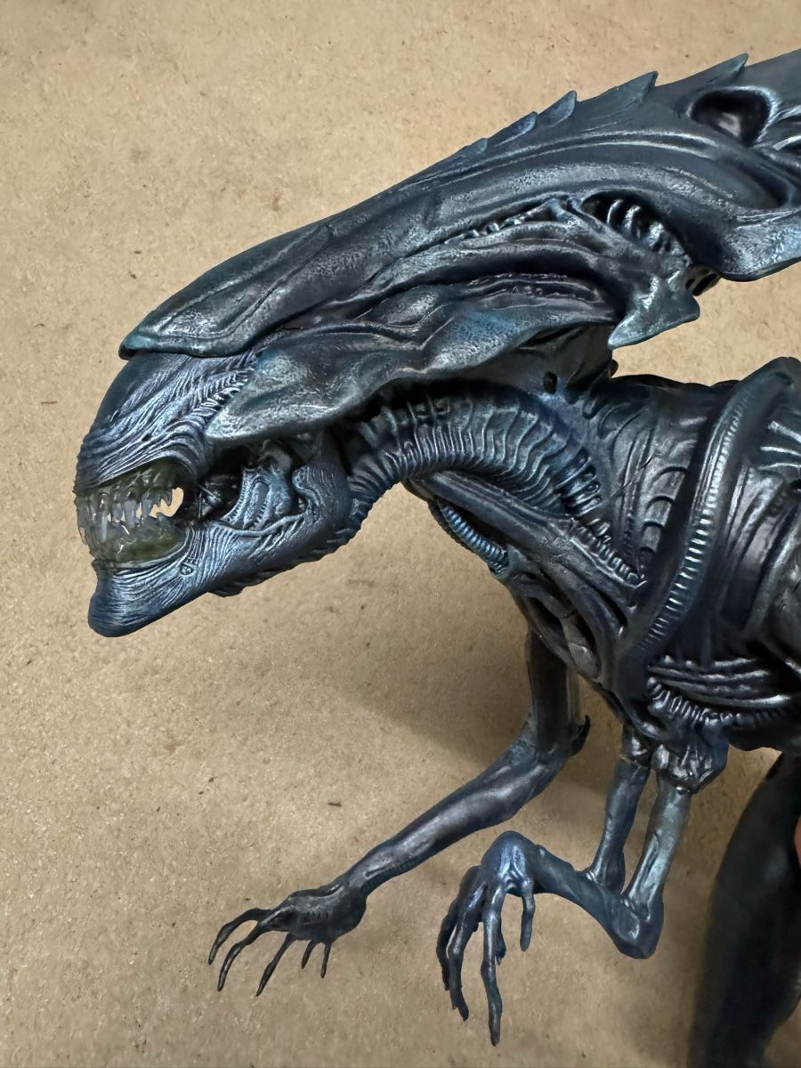 Statuette: Riesige Alien Queen Maquette, Aliens, Predator, not Sideshow – Nuovo (secondo la descrizione) da Glattfelden venduto da Ak_5bL 3