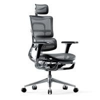 Ergonomischer Schreibtischstuhl V-Master Schwarz-Grau
