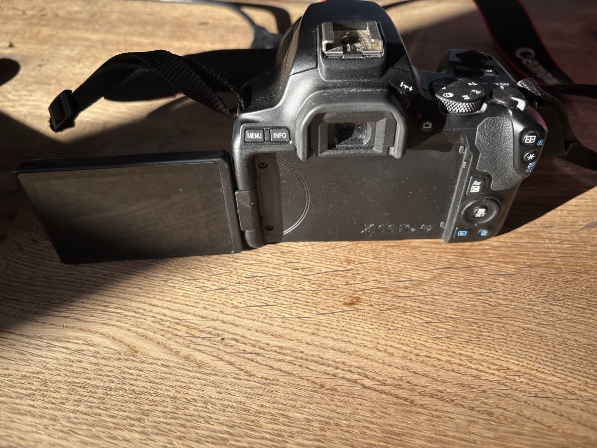 Canon Fotocamera: Canon EOS 250D mit Objektiv und Stativ – Nuovo (secondo la descrizione) da Dörflingen venduto da nei_9y9w 2