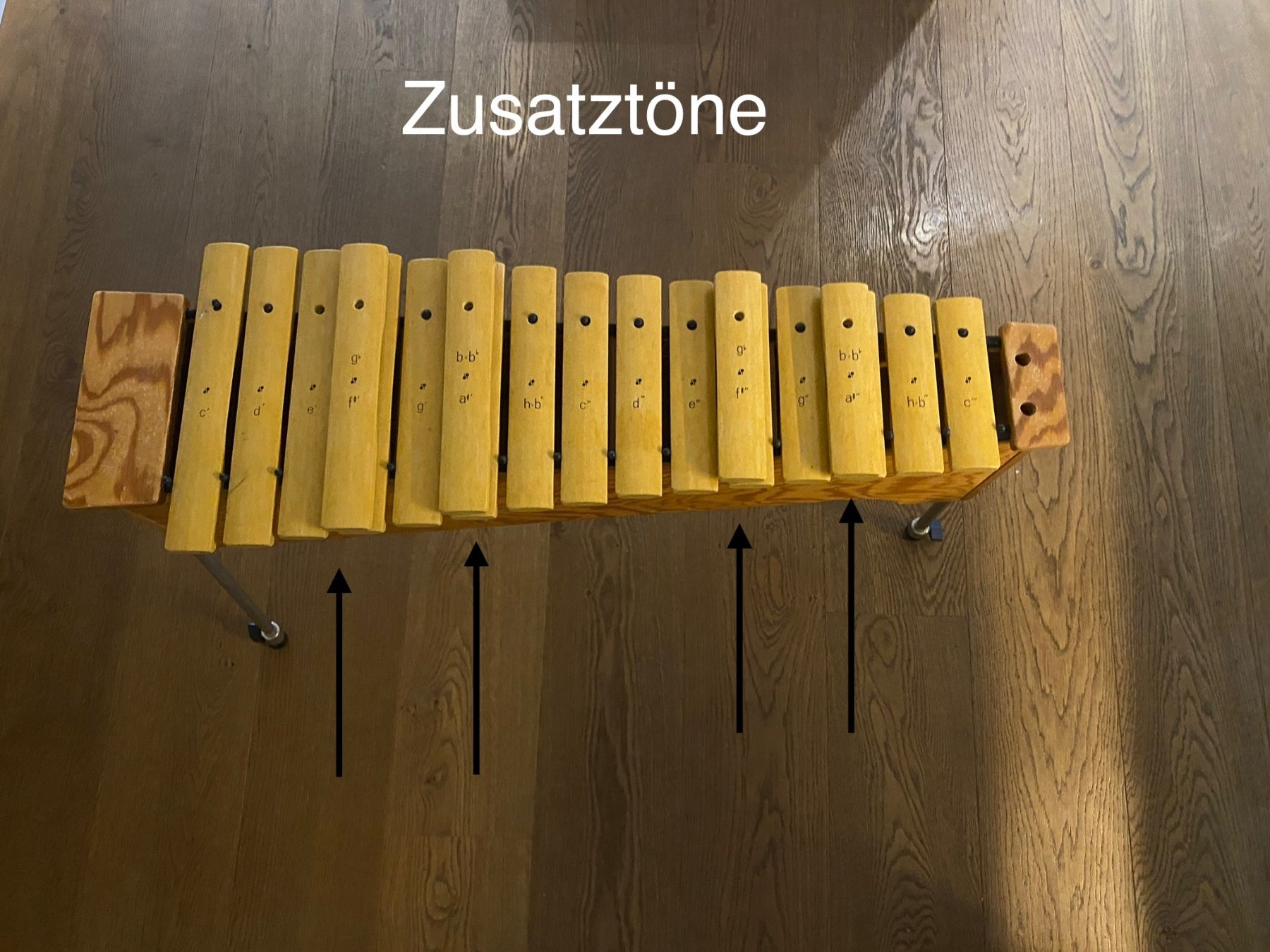 Sonor Strumenti musicali: Xylophon Sonor Percussion TA KX 100 – Usato da Oberrüti venduto da janderos 5