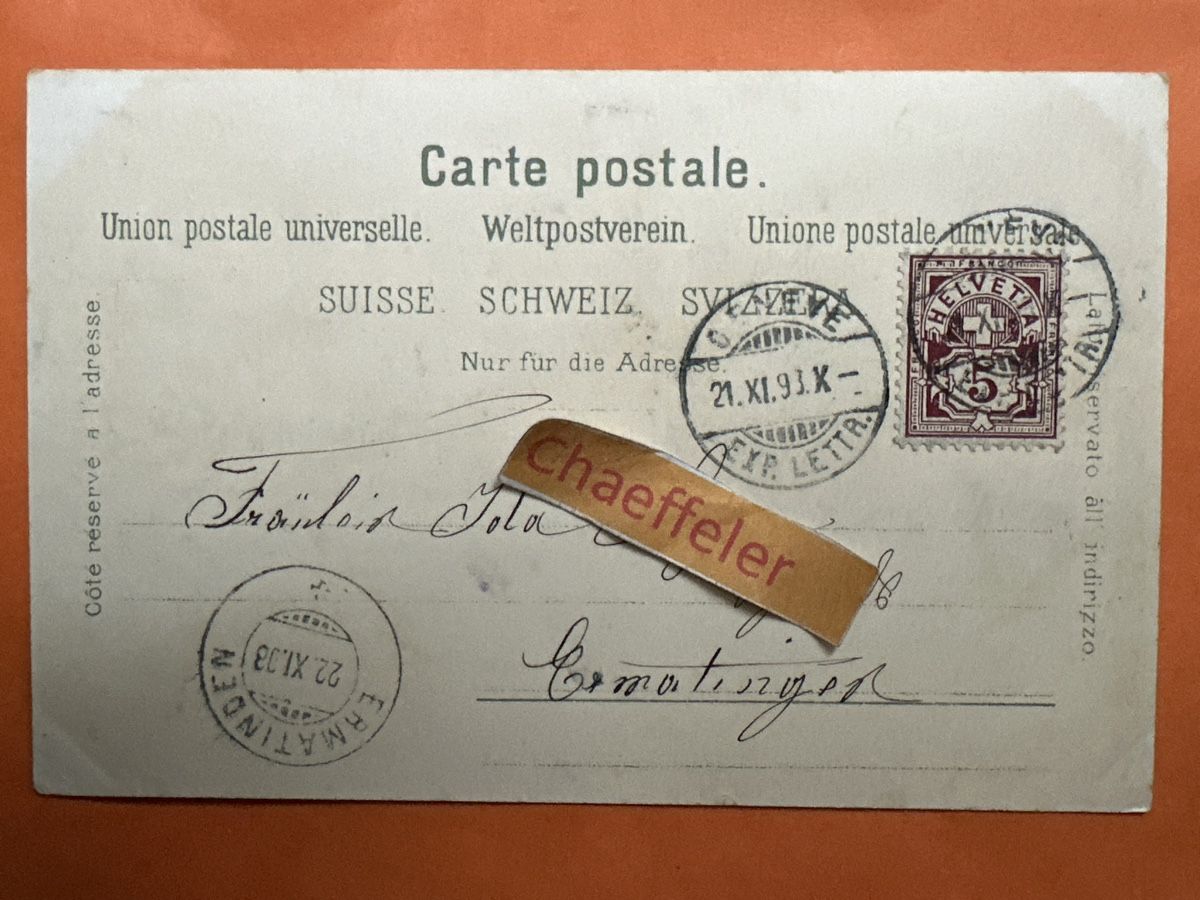 Cartoline postali: 1893 Genf "Souvenir de Genève"  – Usato da Zürich venduto da Chaeffeler 1