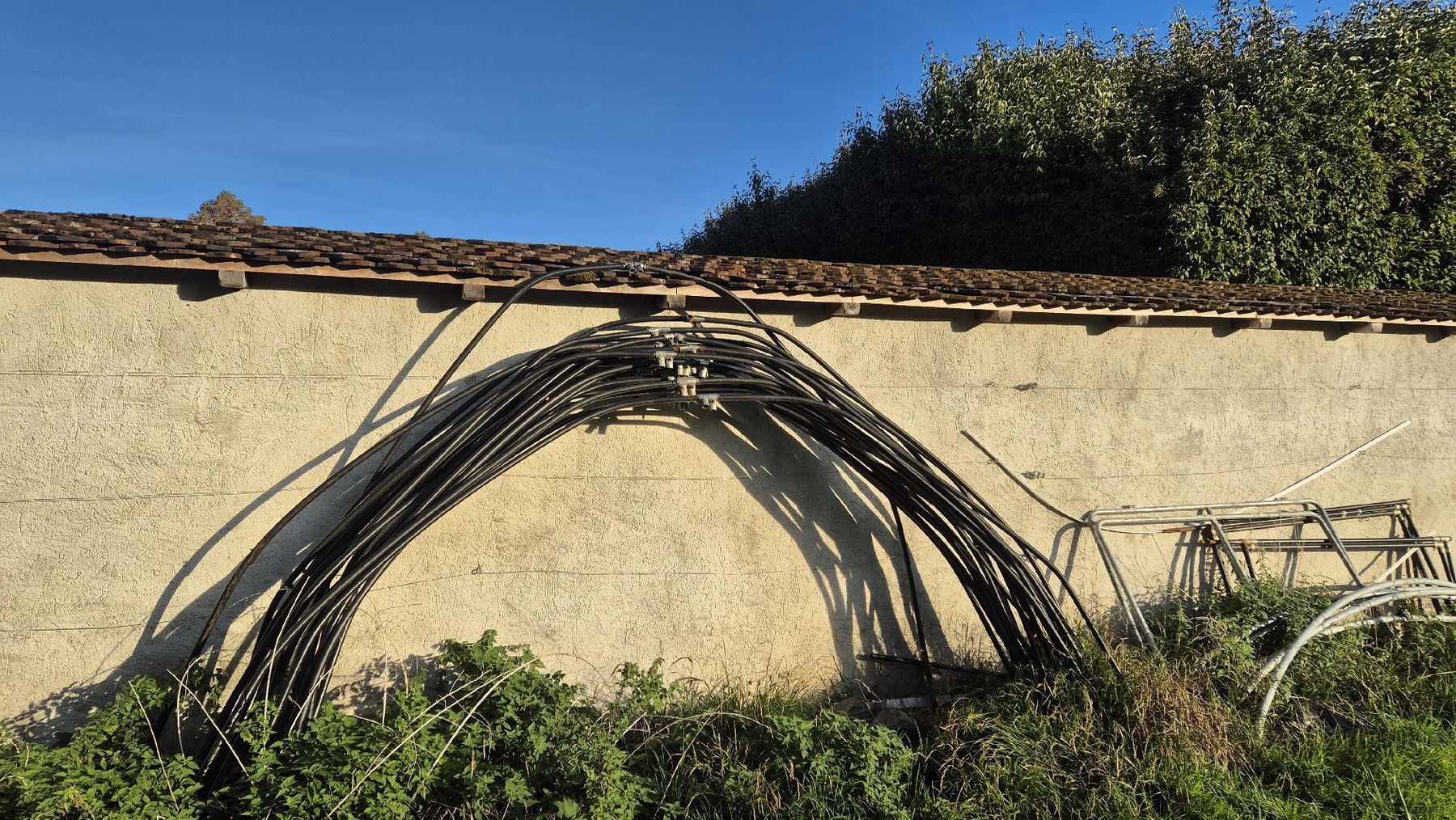 Casette da giardino & serre: Treibhaus – Usato da Gwatt (Thun) venduto da flo_95r8