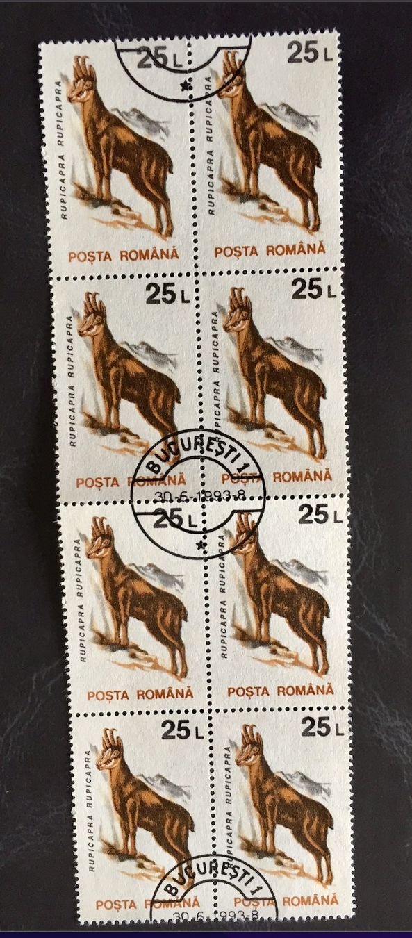 Tutti i francobolli: BRIEFMARKEN  Rumänien Gämse GESTEMPELT 1993 – Usato da Aarau venduto da Angi-007