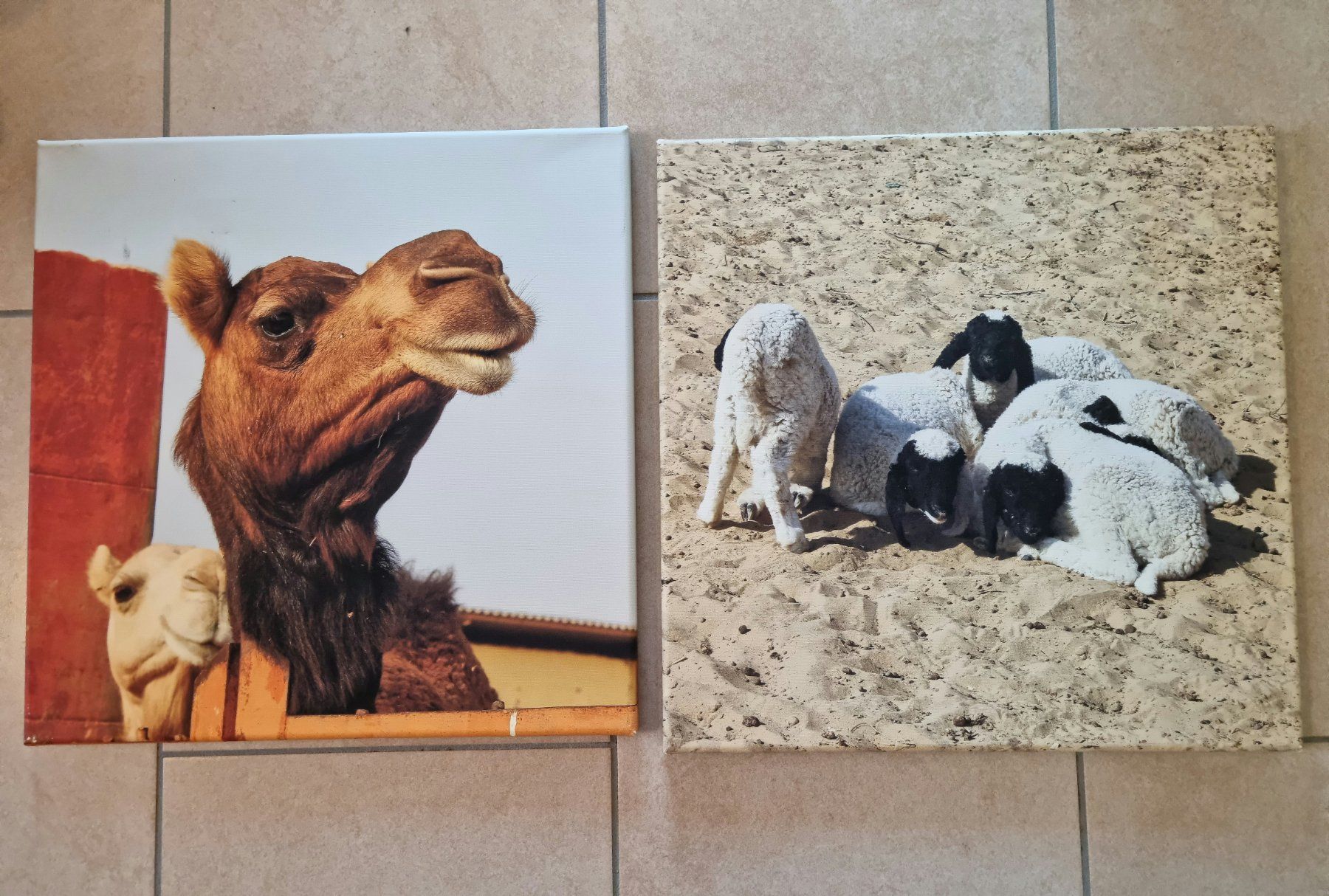 Dipinti: Canvas photography – Usato da Le Locle venduto da vri_c59x