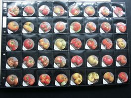 Serie    8133  A      Tomaten