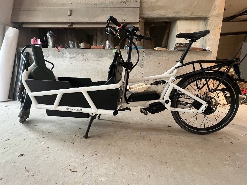 Velos: Riese & Müller Load 75 HS  45 km/h  Rohloff – Gebraucht aus Biel/Bienne von BelaBoe 2