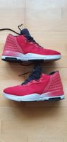 NIKE JORDAN AIR BASKETBALL SHOES; Gr. 42.5