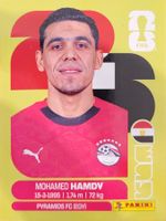Panini FIFA World Cup EGY 4