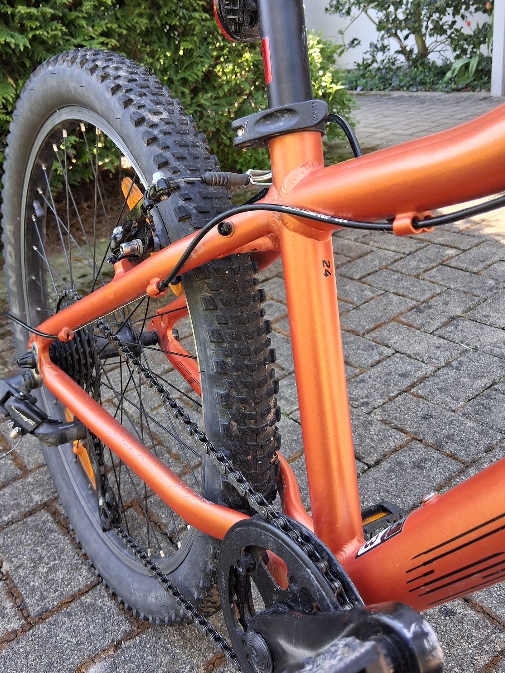 Scott Velos: Scott Scale 24" – Gebraucht aus Islisberg von Mic85 8