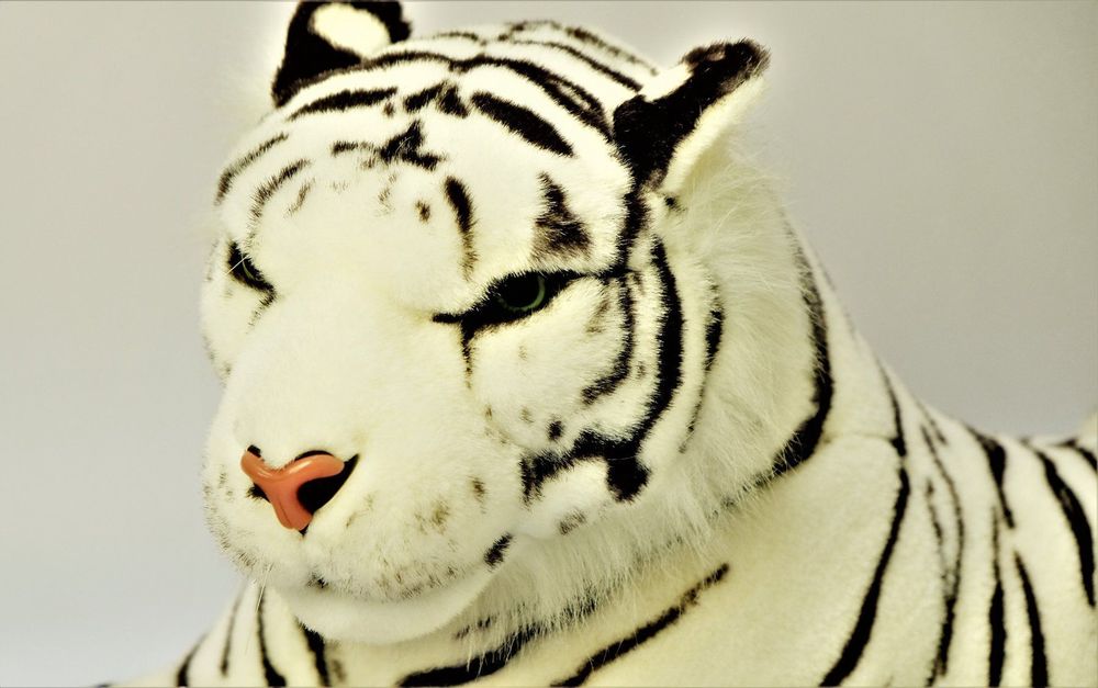 Baby Tiger Weiß Kuscheltier - 22 Cm Plüschtier Stofftier