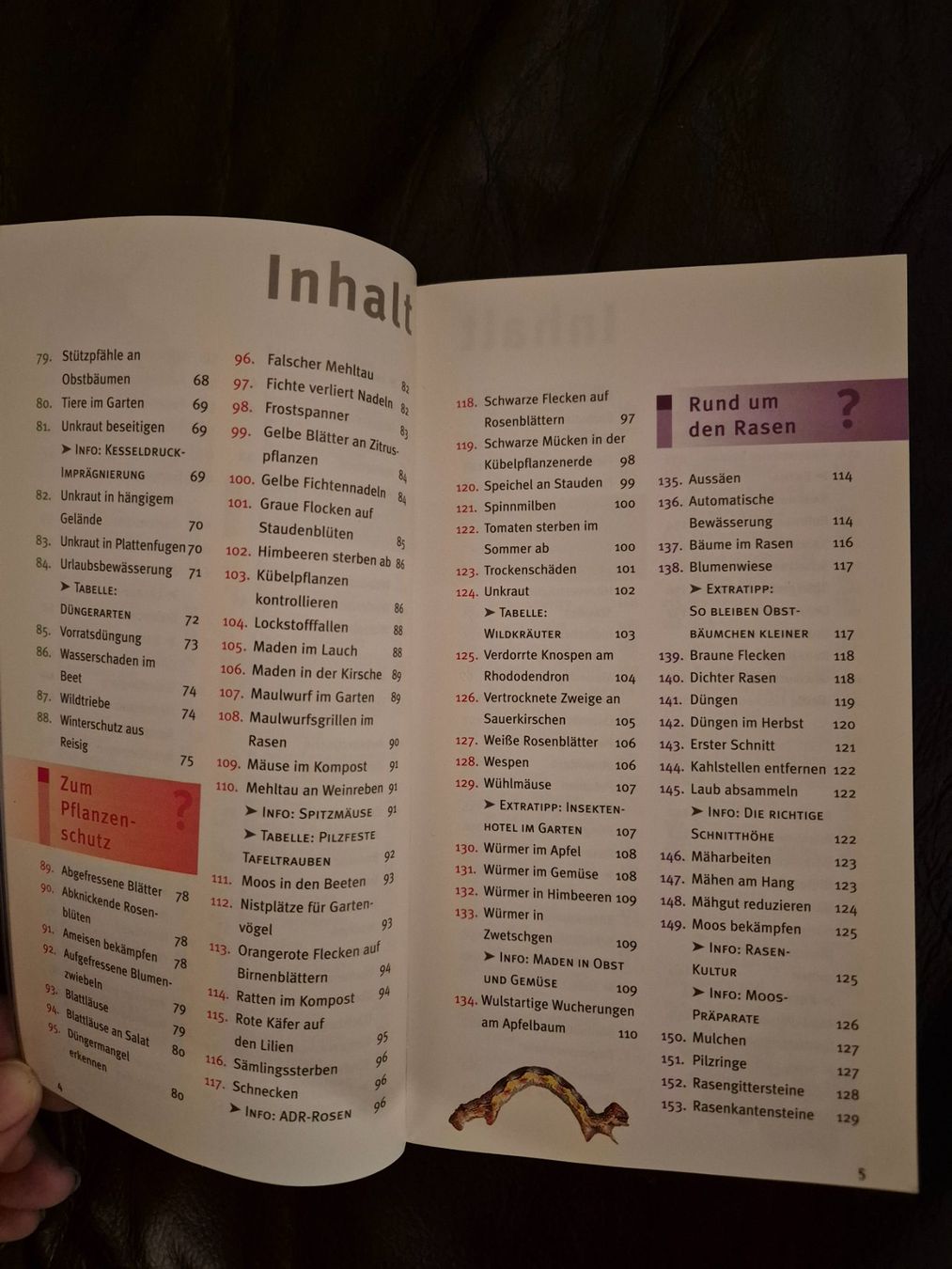 Libri: Taschenbuch 300 Fragen Gartenpraxis – Usato da Bischofszell venduto da Shela 3