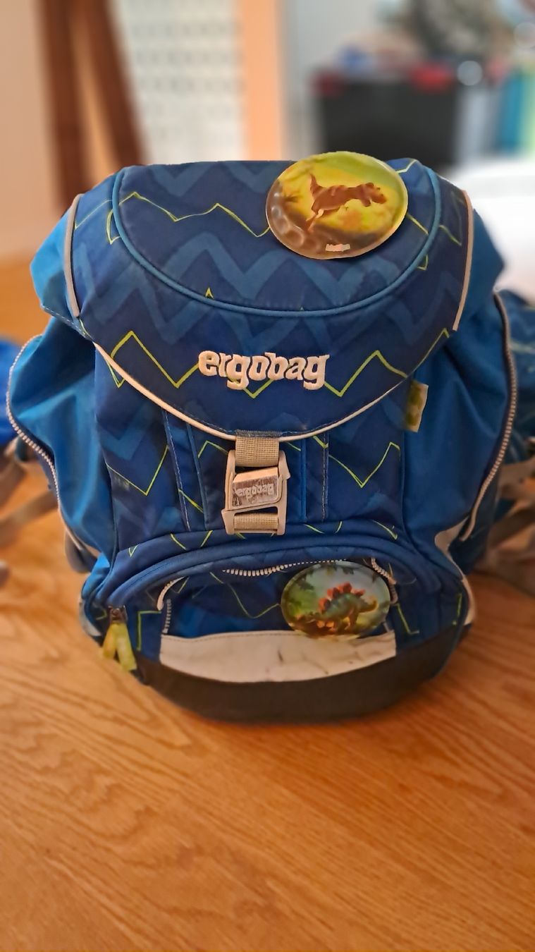 Ergobag Rucksäcke: Grosse Set Ergobag Schulrucksack – Gebraucht aus Erstfeld von Michaela1823 1