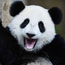 Profile image of Nathanzf
