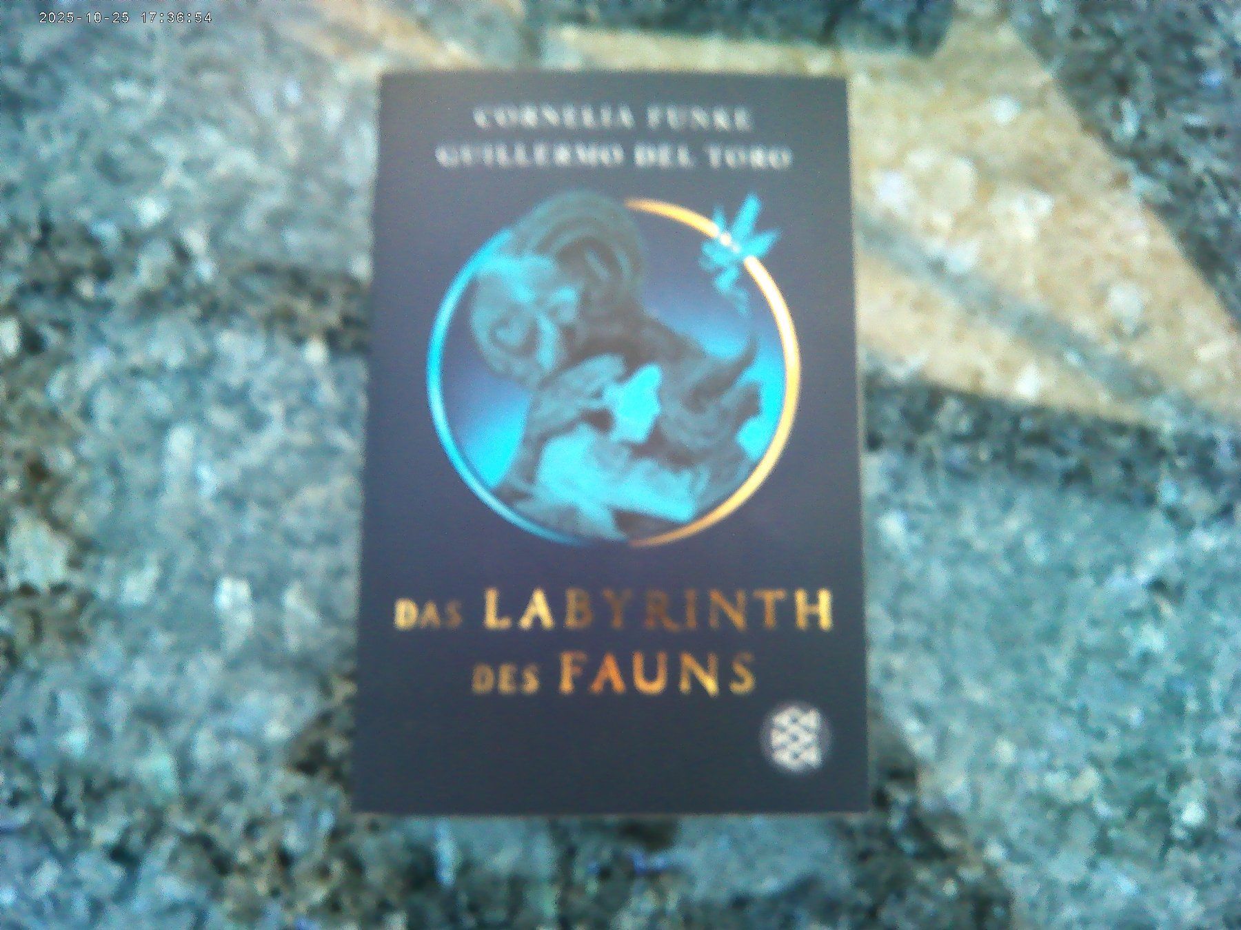Bücher: Das Labyrinth des Fauns von Cornelia Funke – Gebraucht aus reitnau von Sib7