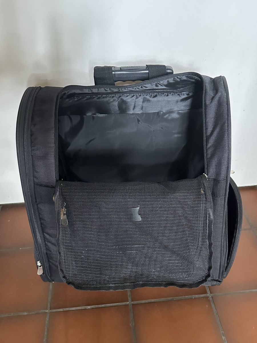 Borse: Hunde- oder Katzentransporttasche – Usato da Bern venduto da Maria003 1