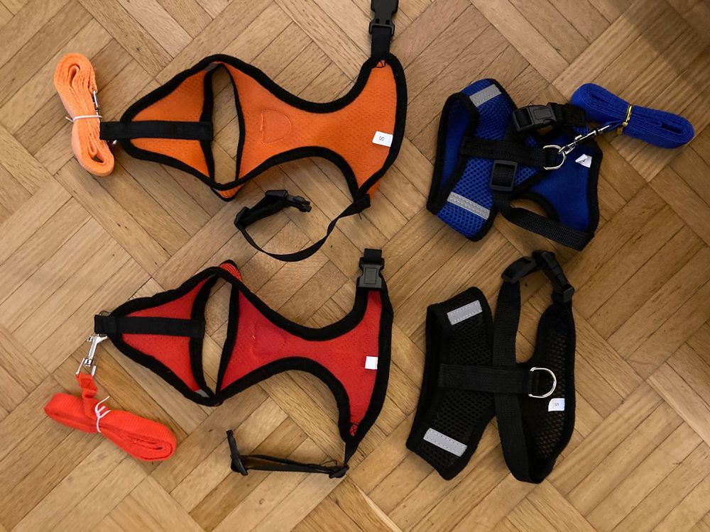 EXCELLENT ELITE SPANKER No-Pull Geschirr Für Katzen & Kleine Hunde – Verstellbares Nylon-Geschirr Mit UTX-Schnalle