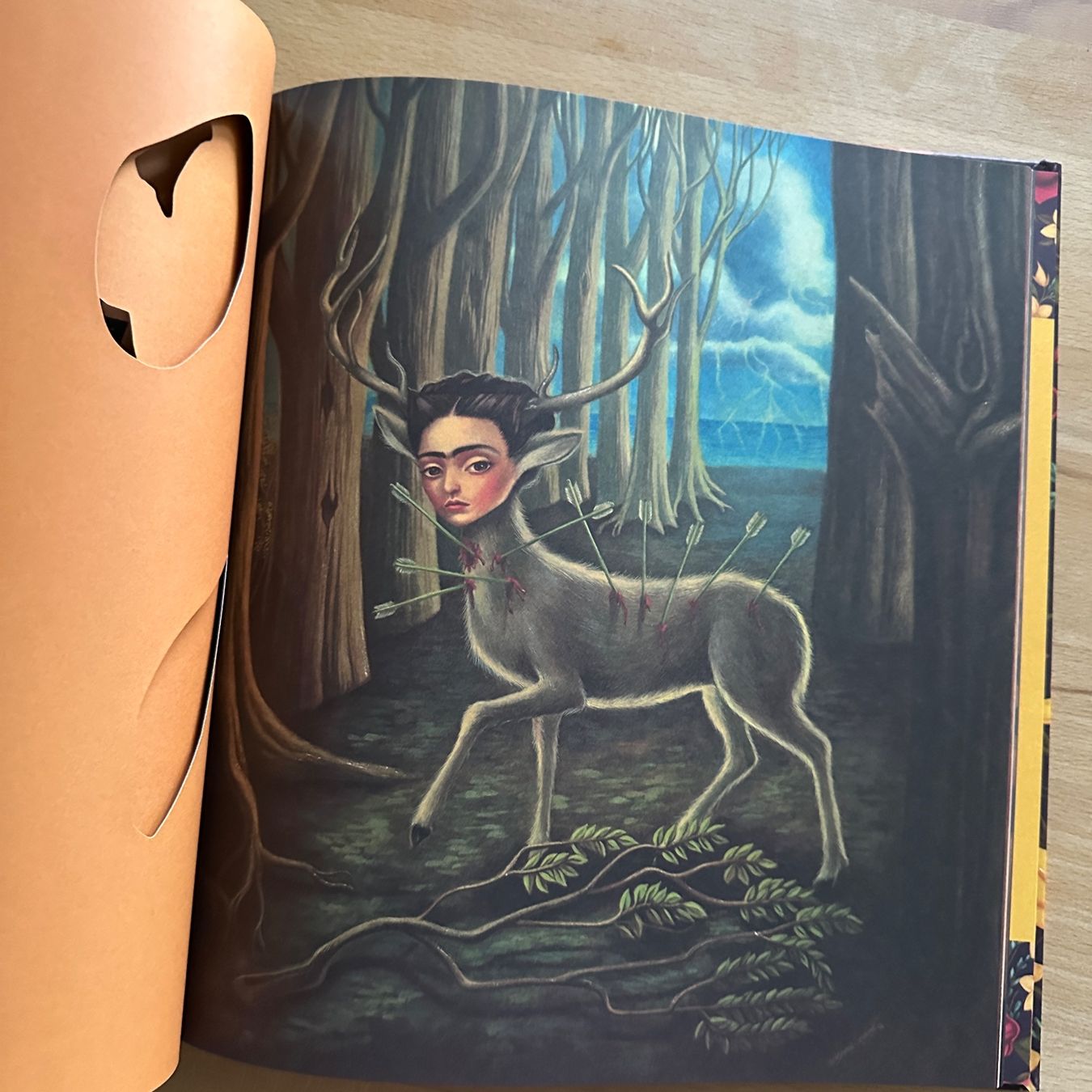 Libri: FRIDA - Benjamin Lacombe, Sébastien Perez – Nuovo (secondo la descrizione) da Sax venduto da kaulquappe01 5
