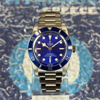 Tudor Black Bay 54 M79000B-0001